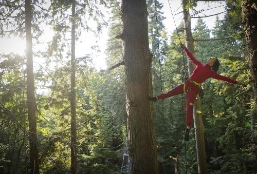 سەما كردن لەسەر دار و بار